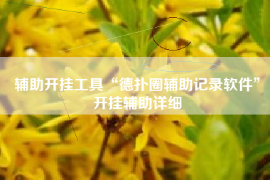 辅助开挂工具“德扑圈辅助记录软件”开挂辅助详细