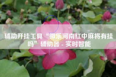 辅助开挂工具“微乐河南红中麻将有挂吗	”辅助器 - 实时智能