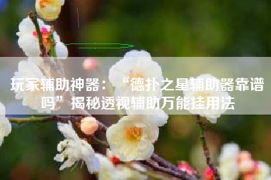 玩家辅助神器：“德扑之星辅助器靠谱吗”揭秘透视辅助万能挂用法