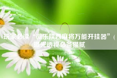 玩家必读“微乐陕西麻将万能开挂器”(曝光透视必备猫腻