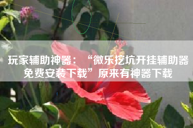 玩家辅助神器：“微乐挖坑开挂辅助器免费安装下载”原来有神器下载