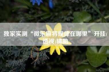 独家实测“微乐麻将规律在哪里”开挂(透视)辅助