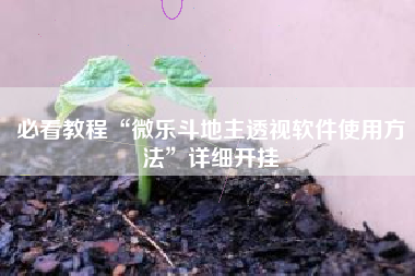 必看教程“微乐斗地主透视软件使用方法”详细开挂