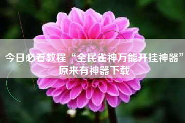 今日必看教程“全民雀神万能开挂神器”原来有神器下载