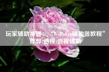 玩家辅助神器：“WePoker辅助器教程”作弊(透视)透视辅助
