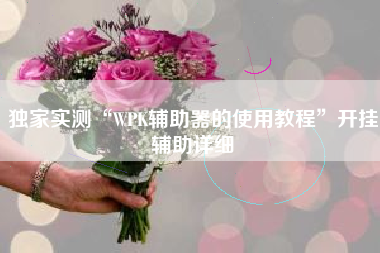 独家实测“WPK辅助器的使用教程”开挂辅助详细