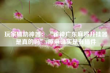 玩家辅助神器：“雀神广东麻将开挂器是真的吗	”(原来确实是有插件