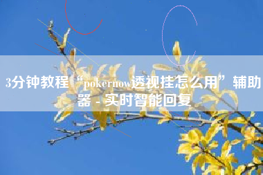 3分钟教程“pokernow透视挂怎么用”辅助器 - 实时智能回复