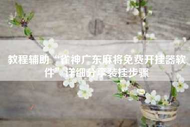 教程辅助“雀神广东麻将免费开挂器软件”详细分享装挂步骤