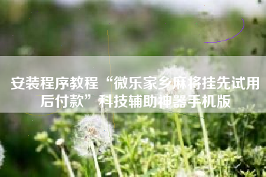 安装程序教程“微乐家乡麻将挂先试用后付款”科技辅助神器手机版