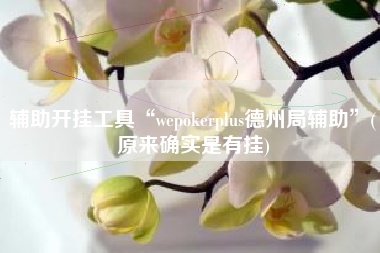 辅助开挂工具“wepokerplus德州局辅助”(原来确实是有挂)