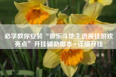 必学教你安装“微乐斗地主透视挂游戏亮点”开挂辅助脚本+详细开挂