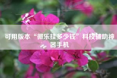 可用版本“微乐挂多少钱	”科技辅助神器手机