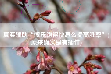 真实辅助“微乐跑得快怎么提高胜率”(原来确实是有插件)