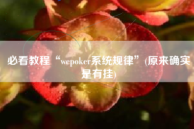 必看教程“wepoker系统规律”(原来确实是有挂)