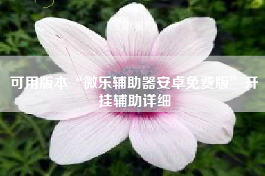 可用版本“微乐辅助器安卓免费版”开挂辅助详细