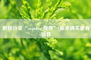 教程分享“wepoker 规律”(原来确实是有插件