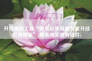 开挂辅助工具“微乐山东麻将万能开挂器通用版”(原来确实是有插件)