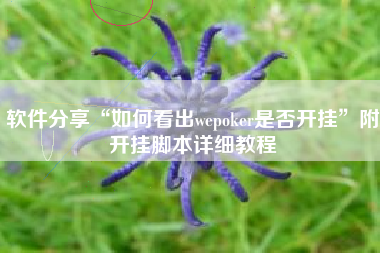 软件分享“如何看出wepoker是否开挂	”附开挂脚本详细教程