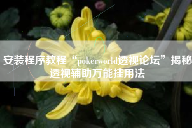 安装程序教程“pokerworld透视论坛”揭秘透视辅助万能挂用法