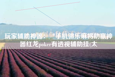 玩家辅助神器：“手机微乐麻将助赢神器红龙poker有透视辅助挂(太
