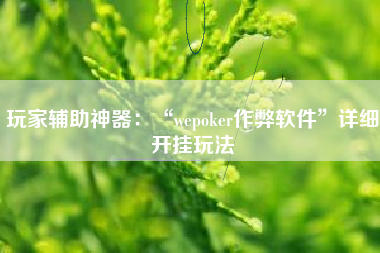玩家辅助神器：“wepoker作弊软件”详细开挂玩法