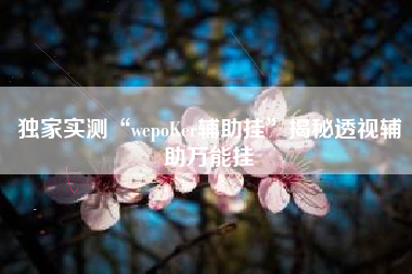 独家实测“wepoKer辅助挂”揭秘透视辅助万能挂