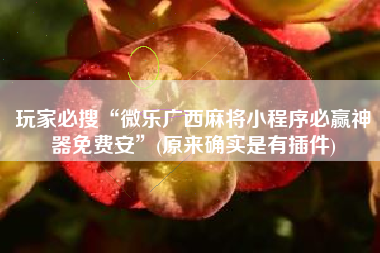 玩家必搜“微乐广西麻将小程序必赢神器免费安”(原来确实是有插件)