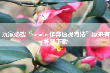 玩家必搜“wepoker作弊透视方法”原来有神器下载