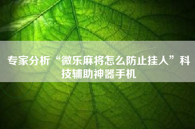 专家分析“微乐麻将怎么防止挂人”科技辅助神器手机