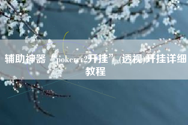 辅助神器“pokerrr2开挂”(透视)开挂详细教程