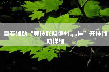 真实辅助“竞技联盟德州app挂	”开挂辅助详细