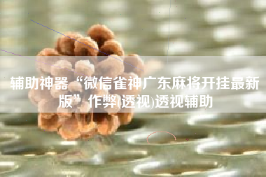 辅助神器“微信雀神广东麻将开挂最新版	”作弊(透视)透视辅助