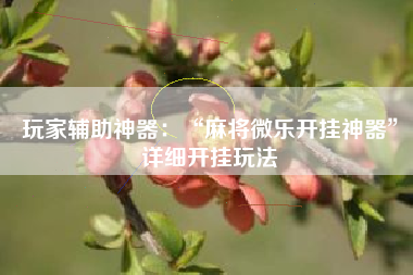 玩家辅助神器：“麻将微乐开挂神器”详细开挂玩法