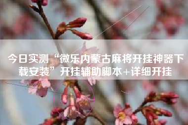 今日实测“微乐内蒙古麻将开挂神器下载安装”开挂辅助脚本+详细开挂