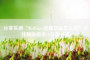 分享实测“WePoker透视功能怎么用	”开挂辅助脚本+详细开挂
