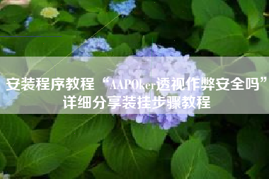 安装程序教程“AAPOker透视作弊安全吗”详细分享装挂步骤教程