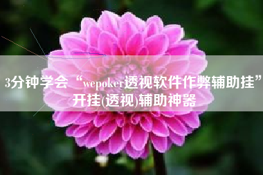 3分钟学会“wepoker透视软件作弊辅助挂”开挂(透视)辅助神器