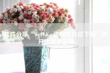 软件分享“WePoKer透视软件挂下载”附开挂脚本详细