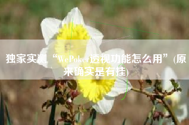 独家实测“WePoker透视功能怎么用”(原来确实是有挂)