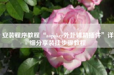 安装程序教程“aapoker外卦辅助插件”详细分享装挂步骤教程