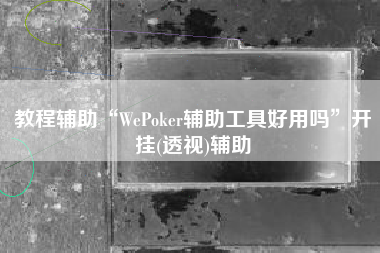 教程辅助“WePoker辅助工具好用吗”开挂(透视)辅助