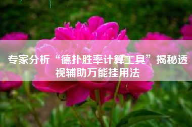 专家分析“德扑胜率计算工具”揭秘透视辅助万能挂用法