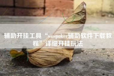 辅助开挂工具“we-poker辅助软件下载教程”详细开挂玩法