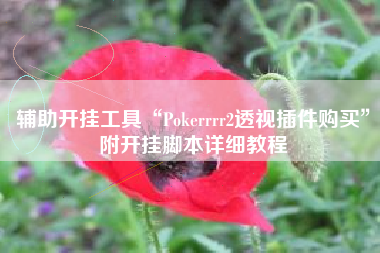 辅助开挂工具“Pokerrrr2透视插件购买”附开挂脚本详细教程