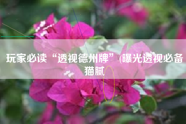 玩家必读“透视德州牌”(曝光透视必备猫腻