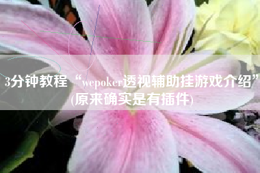 3分钟教程“wepoker透视辅助挂游戏介绍”(原来确实是有插件)