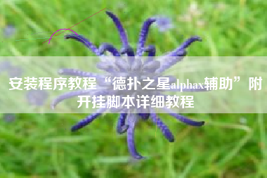 安装程序教程“德扑之星alphax辅助”附开挂脚本详细教程