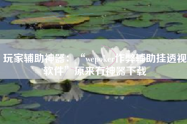 玩家辅助神器：“wepoker作弊辅助挂透视软件”原来有神器下载