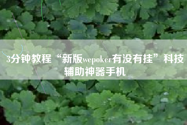 3分钟教程“新版wepoker有没有挂”科技辅助神器手机